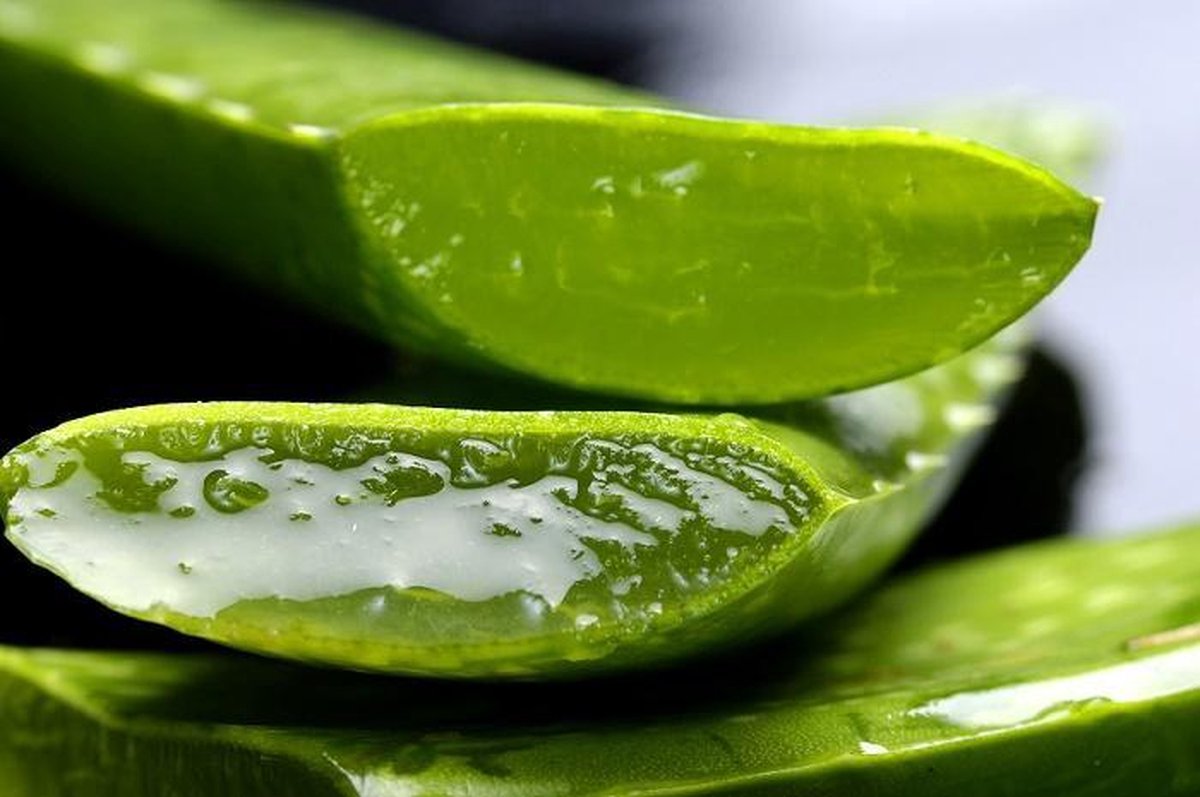Forever Living Business Tipps: Aloe Vera Forever Lips richtig einsetzen