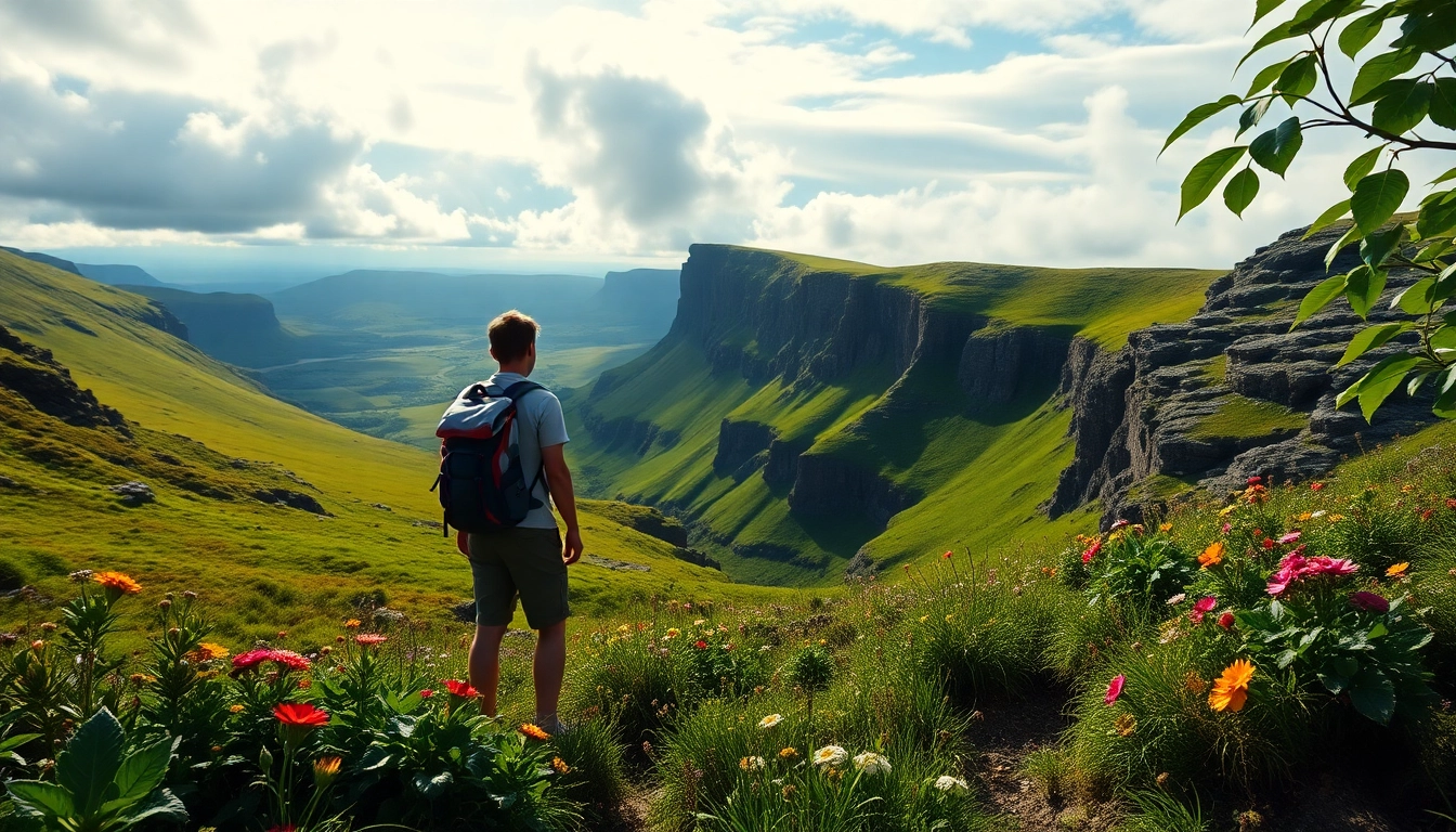 Irland wandern auf einem malerischen Wanderweg mit grünen Hügeln und farbenfrohen Wildblumen.