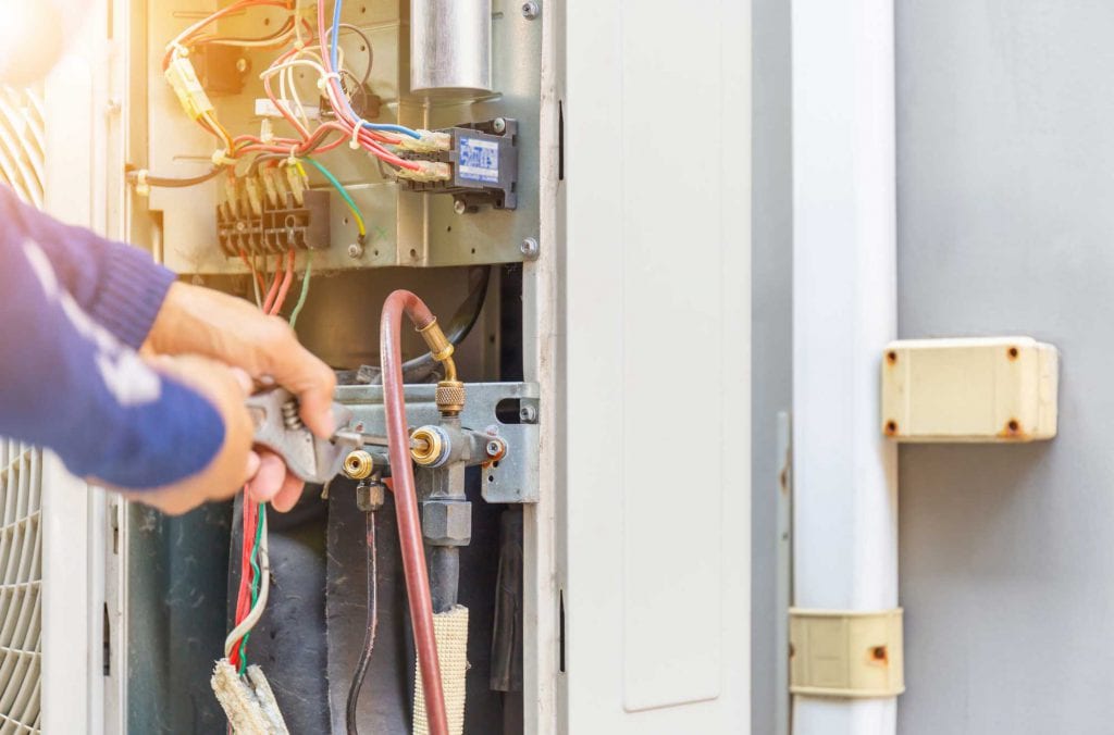 Die Kammerjäger Notdienst-Profis: Ihre Experten für schnelle Schädlingsbekämpfung