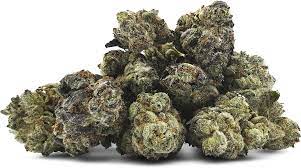 Jealous Strain kaufen in Deutschland – Exklusiv bei Cali Weed and Vapes